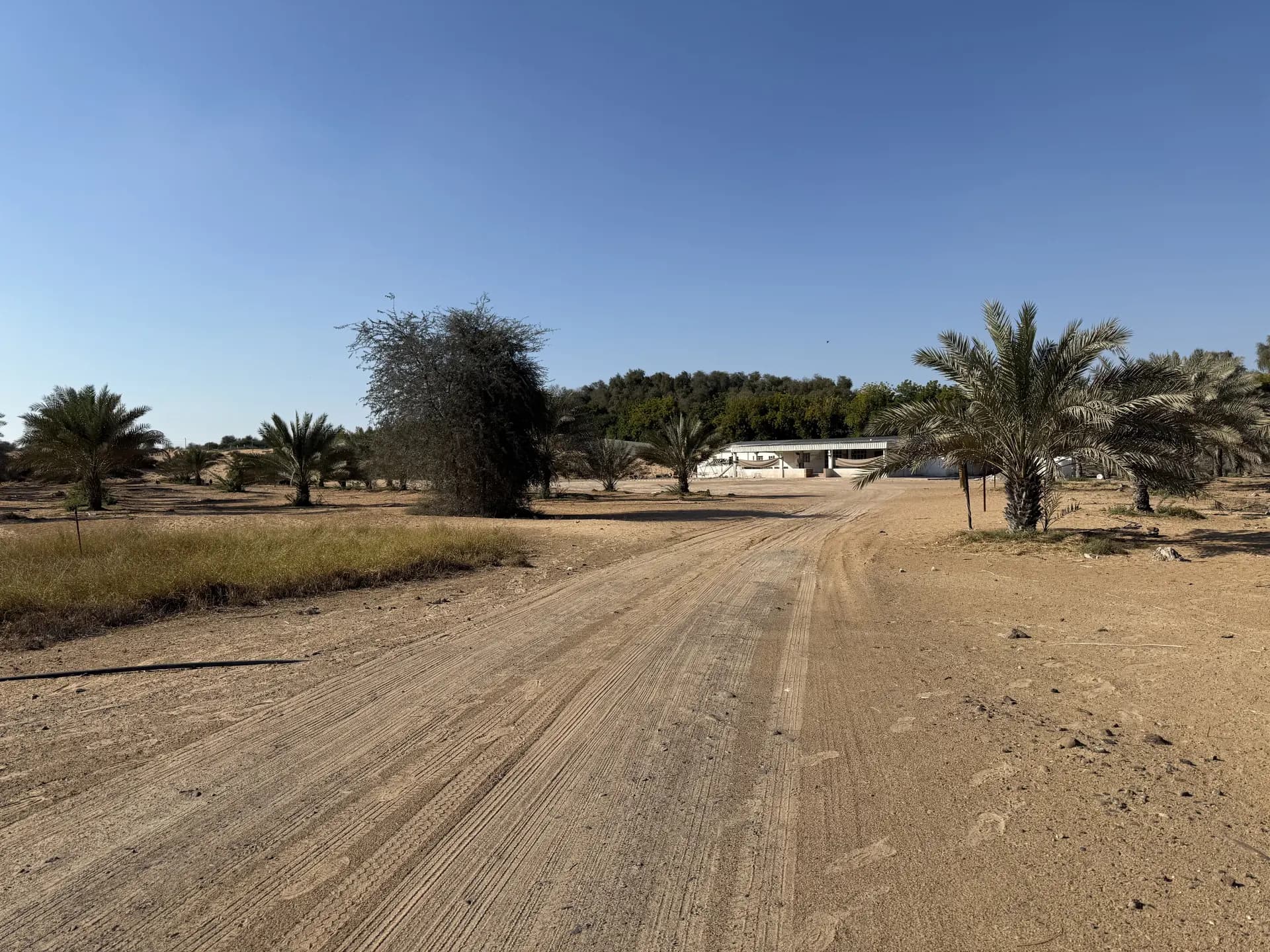 Al Zahya H by Emirates Properties, Al Helio