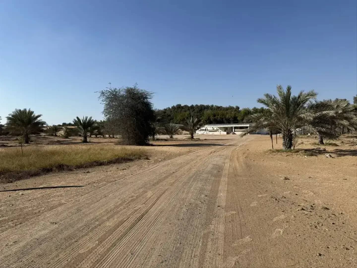 Al Zahia M by Emirates Properties, Al Helio