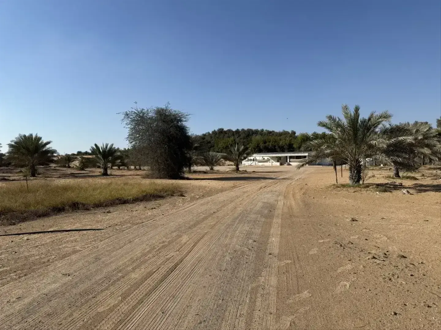 Al Zahia M by Emirates Properties, Al Helio